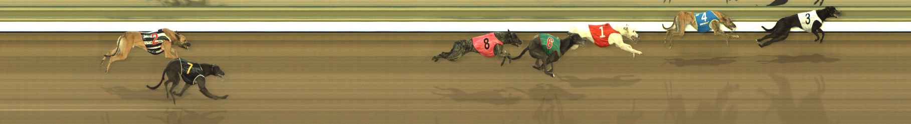 Race result finish photo